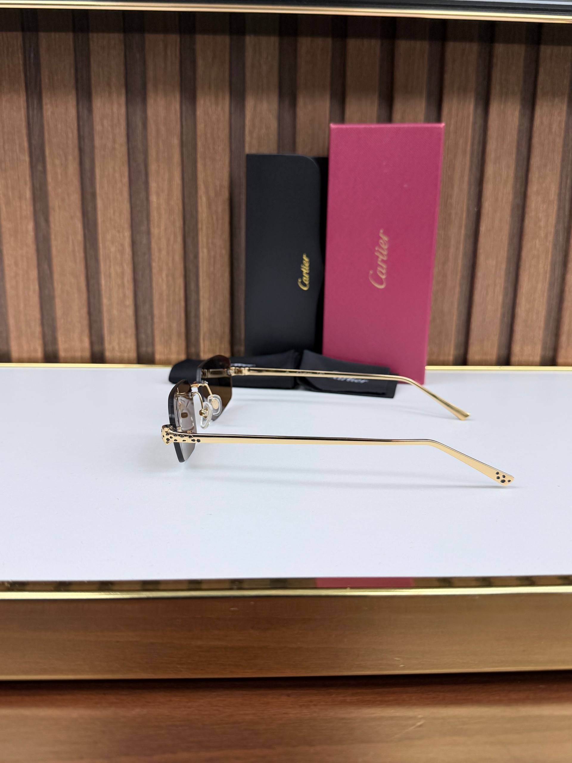 Eyewear Sunglasses