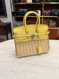 Birkin Picnic 25 Cm