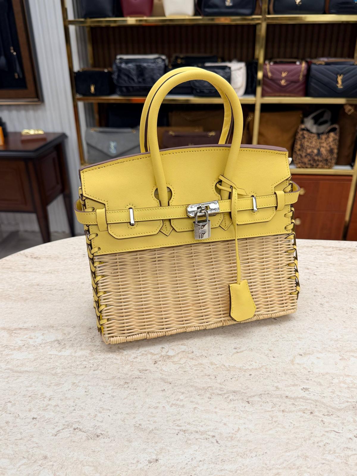 Birkin Picnic 25 Cm
