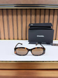 Eyewear Sunglasses