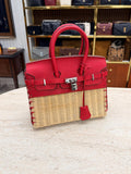 Birkin Picnic 25 Cm